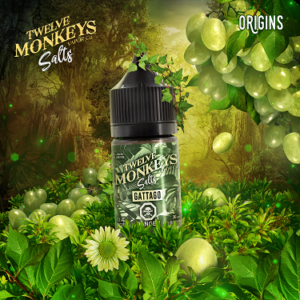 Gattago by 12 Monkeys SALTS