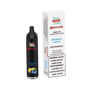 Blueberry Lemon Boombastick by Boom Disposable Vape