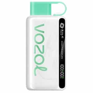 Cool Mint Star 9000 Puff by Vozol