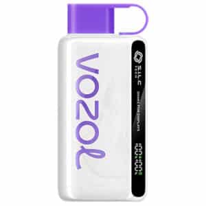 Mixed Berries Star 9000 Puff by Vozol