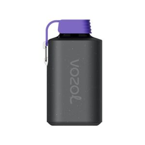 Forest Berry Storm Gear 10000 Puff by Vozol - Image 2